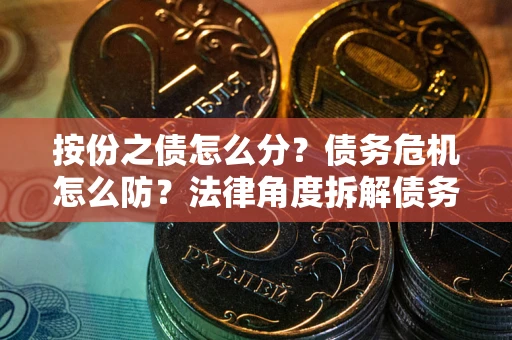 武汉按份之债怎么分？债务危机怎么防？法律角度拆解债务分配与风险自保指南