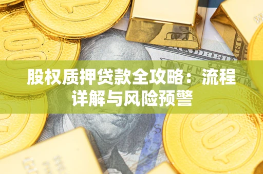武汉股权质押贷款全攻略：流程详解与风险预警