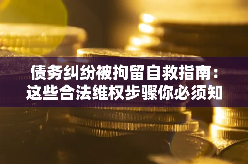 武汉债务纠纷被拘留自救指南：这些合法维权步骤你必须知道！