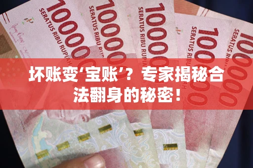武汉坏账变‘宝账’？专家揭秘合法翻身的秘密！