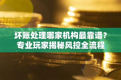 武汉坏账处理哪家机构最靠谱？专业玩家揭秘风控全流程
