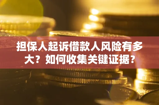 武汉担保人起诉借款人风险有多大？如何收集关键证据？