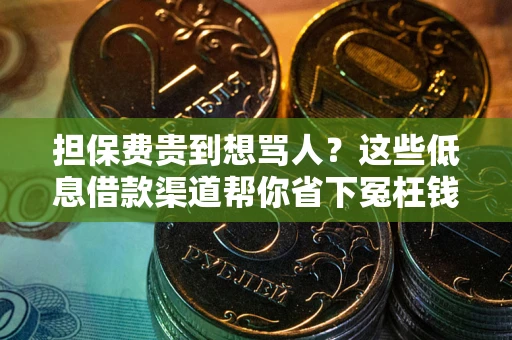 武汉担保费贵到想骂人？这些低息借款渠道帮你省下冤枉钱