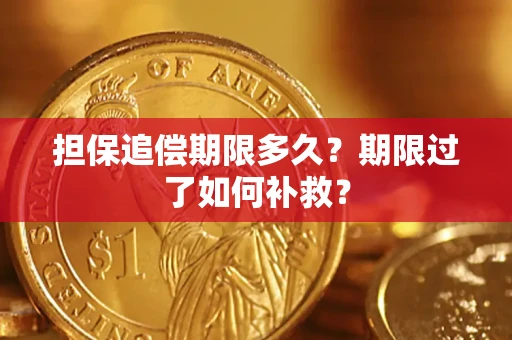 武汉担保追偿期限多久？期限过了如何补救？