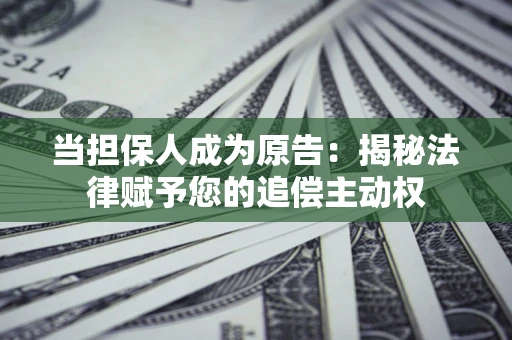 武汉当担保人成为原告：揭秘法律赋予您的追偿主动权