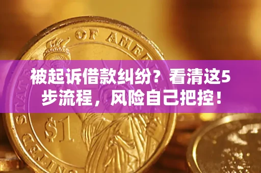 武汉被起诉借款纠纷？看清这5步流程，风险自己把控！