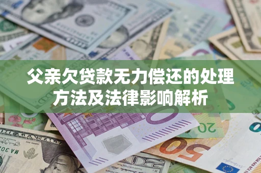 武汉父亲欠贷款无力偿还的处理方法及法律影响解析