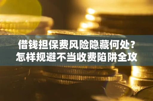 武汉借钱担保费风险隐藏何处？怎样规避不当收费陷阱全攻略！