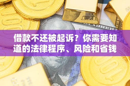 武汉借款不还被起诉？你需要知道的法律程序、风险和省钱技巧