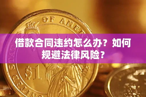 武汉借款合同违约怎么办？如何规避法律风险？